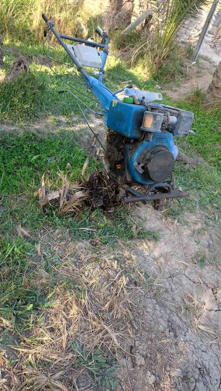 سلام عليكم للبيع كاروبه يدويه 14 حصان 
بس عطله


**إذا كنت صاحب هذا الإعلان وتريد حذفه لأي سبب، رجاءا أرسل رسالة إلى الدعم الفني**