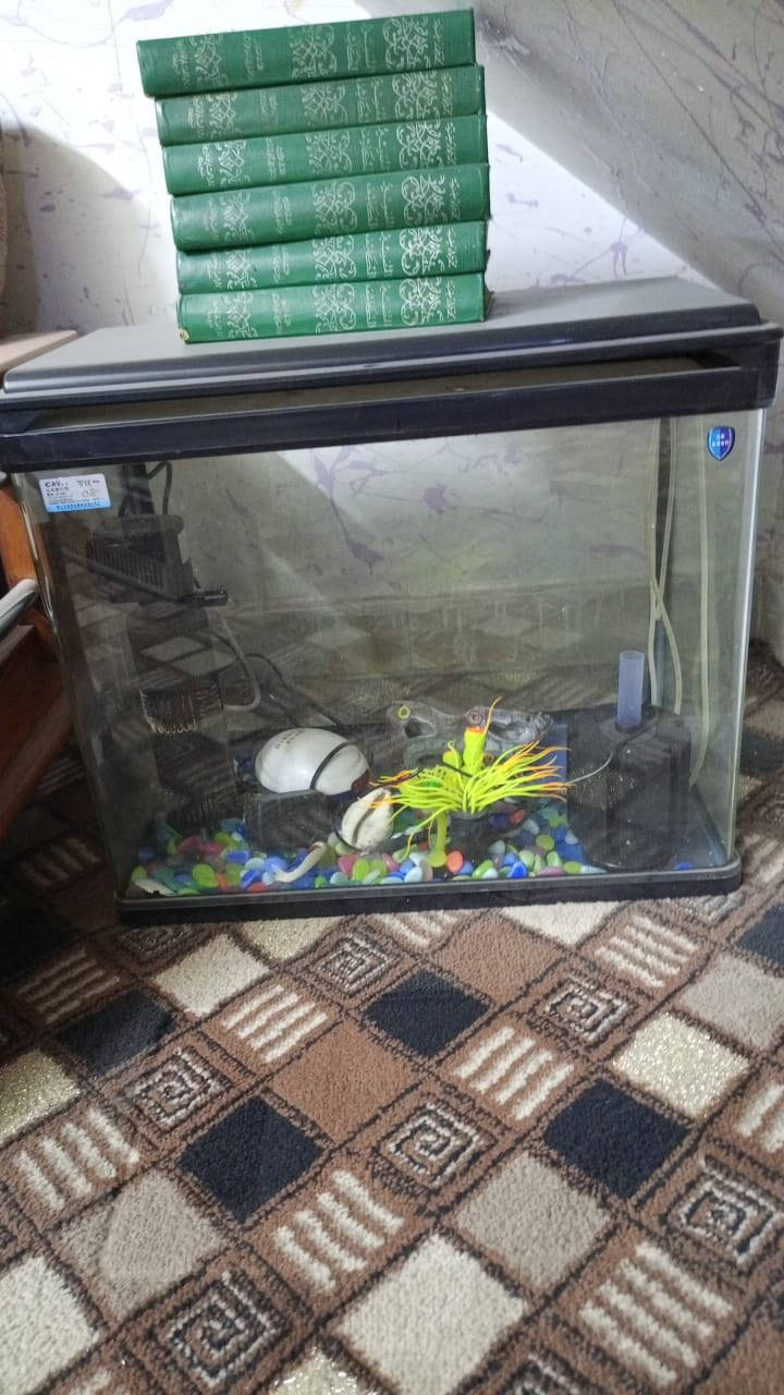 كاروك هزاز كهربائي مستخدم شهر ٨٥ وبي مجال  مبرده كونفيره مستخدمه قليل   80 وبيه مجال  
زوليه كاشان ايراني ٣/٤ ب ٥٠ 
زوليه ٢/٣ ب٣٠ 
حوض سمك مع اغراضه ٣٥ 
العنوان بغداد حي الاعلام


**إذا كنت صاحب هذا الإعلان وتريد حذفه لأي سبب، رجاءا أرسل رسالة إلى الدعم الفني**