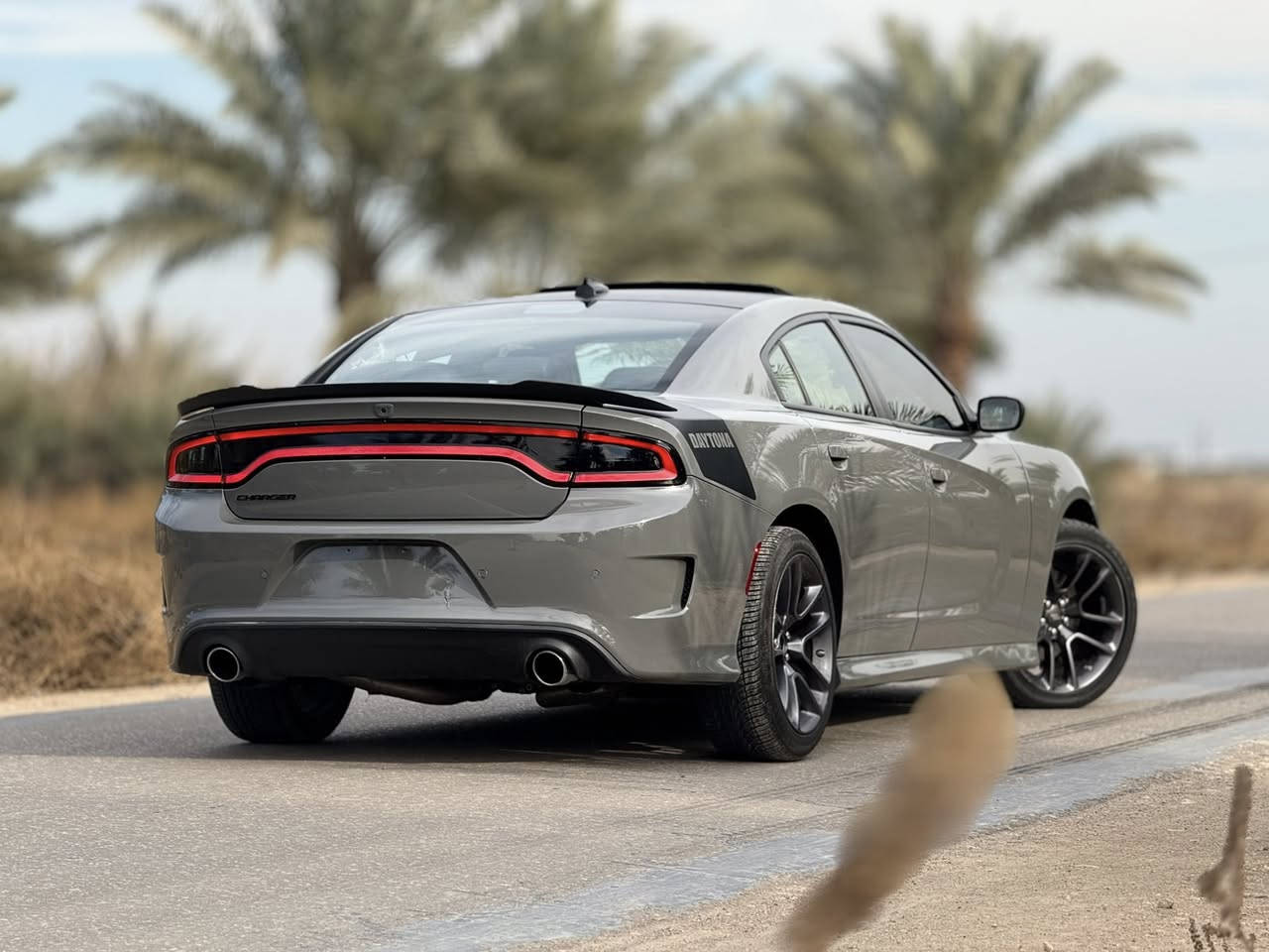 دوج جارجر دايتونا -Charger Daytona
RT/5700
موديل 2023
الدايتونا غنيه عن التعريف طبعا 
السياره فول موصفات 
بصمه
سلايت+سقف اسود بلادي 
كشن حار
كشن بارد
كشن خزن 
شوته موبار 
ويل 20 
شاشه كبيرة 
كامره دواره 
كشنات كنتارا مطرز دايتونا 
شفتات ستيرن 
تدفئه ستيرن 
ستيرن كهرباء 
سوبر تراك باك 
زر سبورت 
مري قلاب 
ماشيه 12000miالف

حادث السياره
جاملغ ايسر مبدل وبنيد مبدل  السياره بدون شواصي
صار تصليح بدايه اللغد فقط بدايه
السياره جديده وخير من الله 
السعر اتصل وتدلل
0770 777 5568
