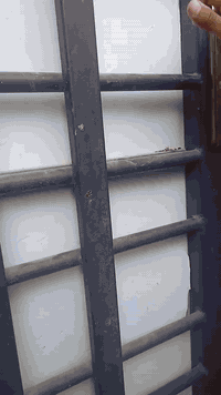 بيت للبيع غرفتين و صالتين و ديوانيه و مطبخ و منور و صحيات بناء جديد ال...