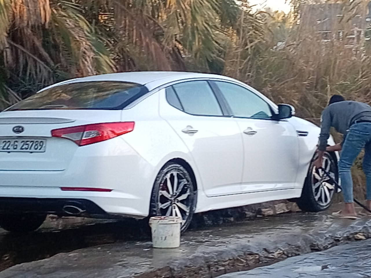 اوبتيمه ٢٠٠١٢خليجي بيظاء رقم انكليزي أربيل كفاله عامه نص فول مواصفات اشاير بل مري تبريد قطعتين دواخل بيجي٠ محرك ٢٠٤٠٠مامفتوح محرك وكير كفاله إضافة إلى الحداديه٠شرط تخم تايرات٠تحويل مباشر *********** وات ساب وتصال مباشر ملاحظه مراوس فقط
