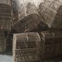 أقفاص شغل • جديدة • عدد 9