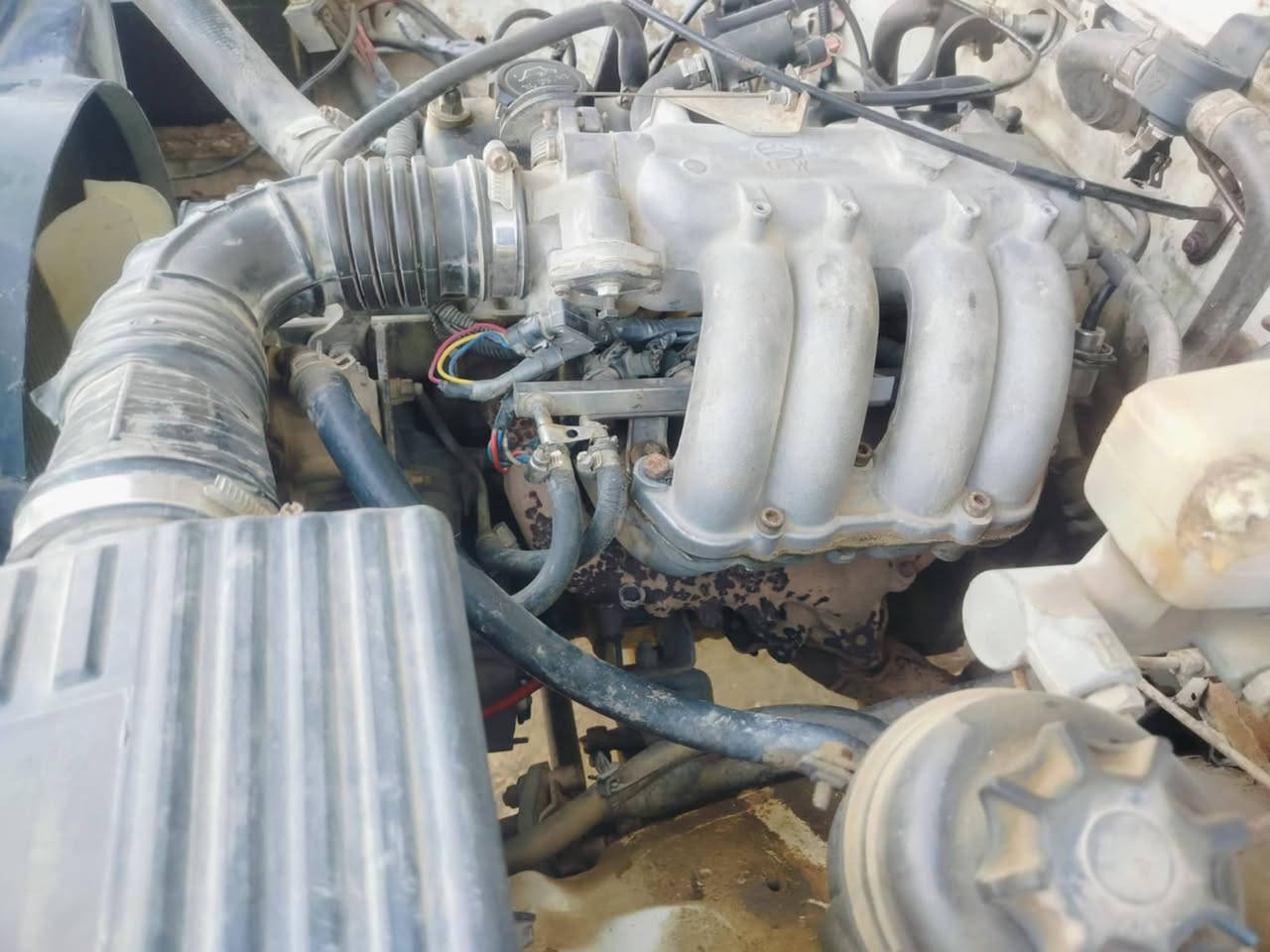 دير للبيع موديل 2011 رقم  ميسان  ابيع بدون تحويل  . كير ومحرك مكفولات   السعر 24 ورقة   مكاني  الناصرية قضاء الاصلاح.  ***********1

*********** وذا مراوس عادي
