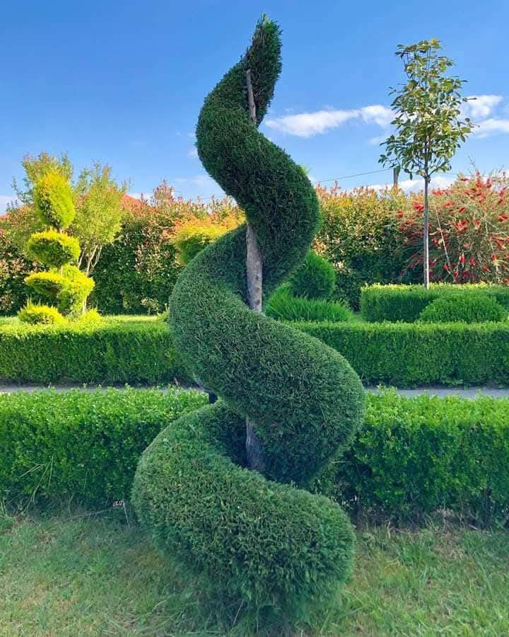 بەلاش بەلاش داری مۆرد سروشتی هەڵبژێرە 1000دینار  
مەیکرە بە 5هەزار  لای ئێمە 1هەزار 

سەیدسادق نزیک پردی قەرزاران یان نزیک مرگەوتی ئەبوبەکری سدیق


**إذا كنت صاحب هذا الإعلان وتريد حذفه لأي سبب، رجاءا أرسل رسالة إلى الدعم الفني**