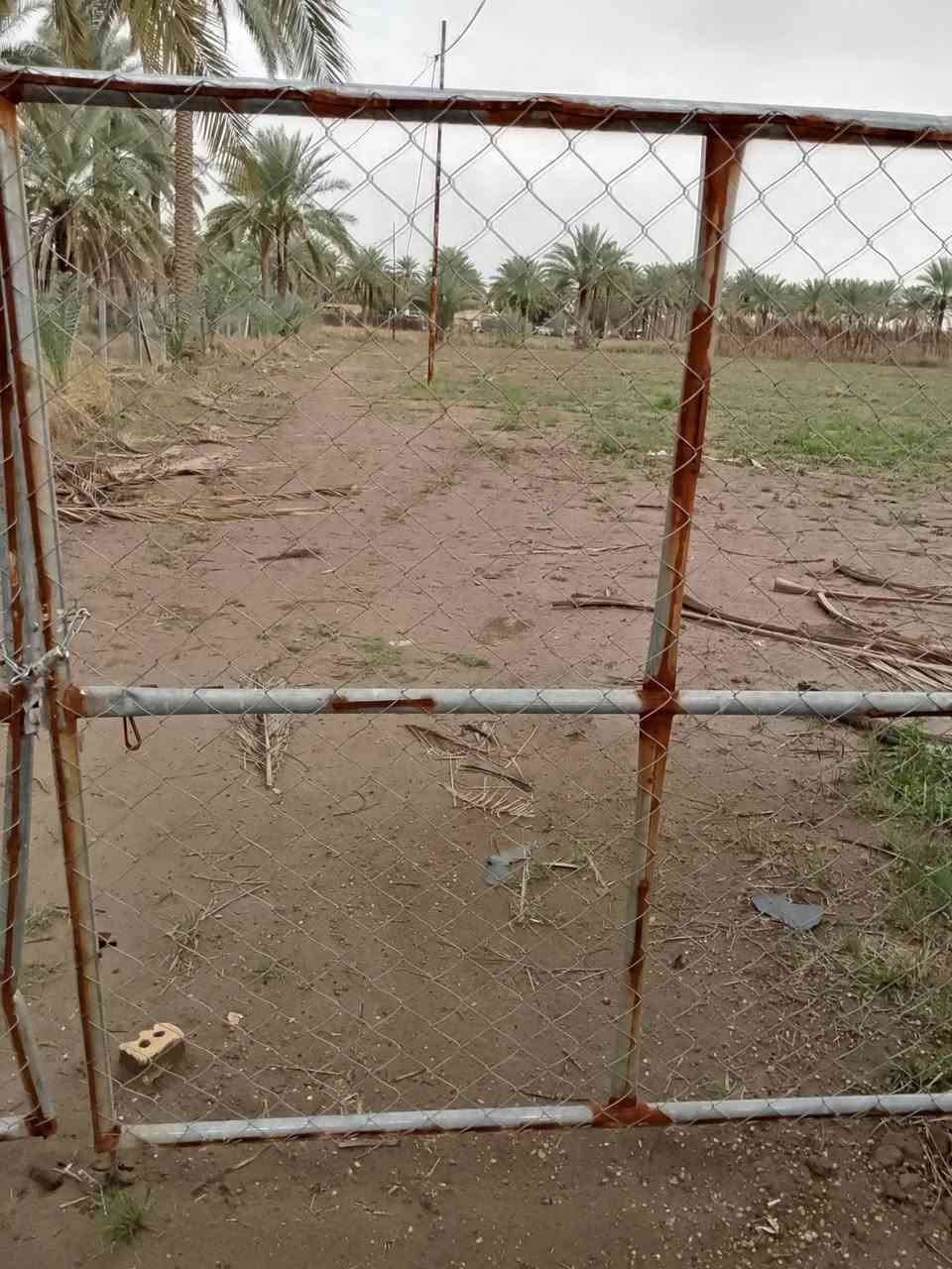 كاع زراعيه للبيع مساحه دونمين تحويل دونم وربع العنوان بابل محاويل مقابل بيت ابو  طياره ***********
