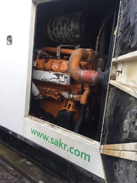 دايو • مولد بلدي • ورق