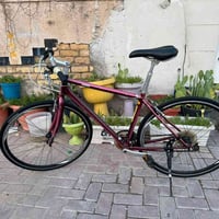 جاينت • ٢٨/٧٠٠ • ٢٤ غيار