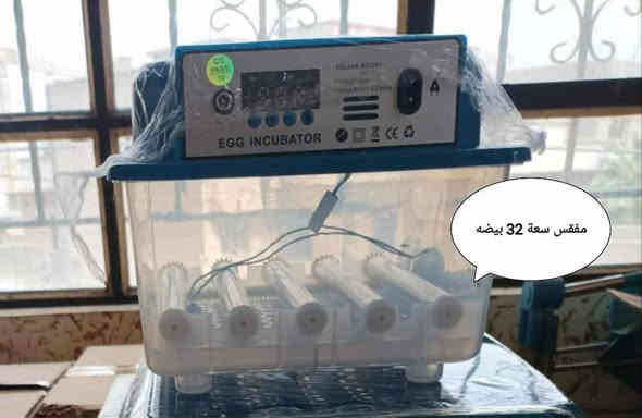 ابدأ مشروعك بحضّانة البيض الذكية 
🐣 حيث تقدر تبدأ الأن وتحوّل حلمك إلى حقيقة ودخل ثابت ومربح💰💸
مشروع مضمون ، تشغيل سهل ، ونتائج مبهرة تصلح لجميع انواع بيوض الدواجن
🦆  🐥  🐓  🦃  🦚  🦢  🦜
نسبه تفقيسها  تتخطى 98 % 🤩🎀🎁
# لأول مرة فقاستنا تعمل الكترونياً من  حيث تقليب البيض وتنظيم درجة حرارة ورطوبة المفقس كونها مزوده بقناني ماء من دون اي تدخل انت ماعليك إلا إدخال البيض .
عند إنقطاع الكهرباء تتحول اوتوماتيكياً الى التشغيل بالبطارية بمجرد ربط قوابس البطارية .
👇 تخفيض وبارخص الاسعار👇🏻الاحجام المتوفرة واسعارها 💰 
1 - مفقس سعة 32🐥 بسعر 80 الف 
2 - مفقس سعة 36🐥 بسعر 90 الف
3 - مفقس سعة 48🐥 بسعر 100 الف
🚚 لدينا خدمة توصيل لجميع محافظات العراق بمبلغ 5 الاف دينار
🐥 🐥 🐥 
🌀 مميزات الحضّانات:🕊️
✔ شاشة رقمية للحرارة والرطوبة
✔ تقليب أوتوماتيكي كل ساعتين
✔ إنذار عند أي خلل
✔  منخفض جداً
🛠️دعم فني ومتابعة مستمرة 
للتواصل على رقم الهاتف *********** يوجد واتس اب ايضاً.
