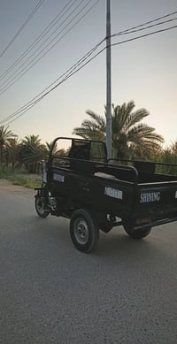 ستوته • موديل ١٥ • مكفولة