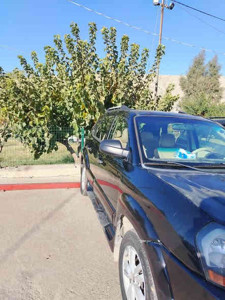 سياره تكسون موديل ٢٠٠٩
***********
سعر ١٠٥ بيجك مجال تيدا هه يه
