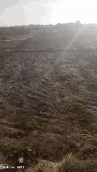 سلام عليكم
ارض للبيع سند ٢٥ سيطرة الشوفه مقابيل  بيت الفحله مساحة دونم ونص رقم صاحب الارض 
 ***********
