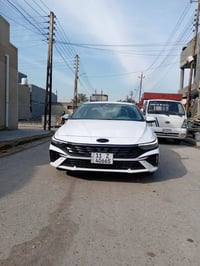 نص فول • وارد امريكي • ٢٠٢٤