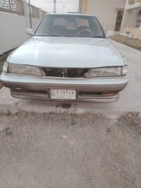 مارك شطح • ١٩٩١ • رقم ديالى