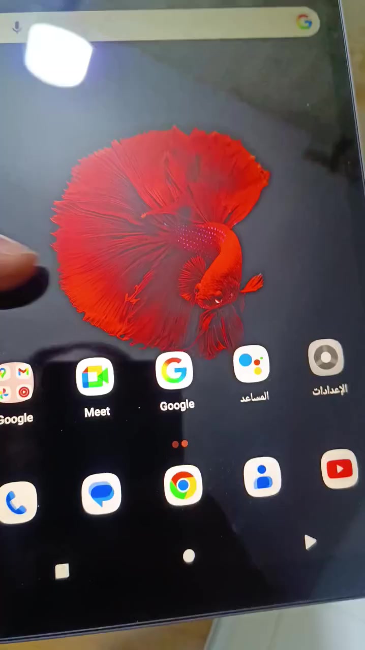 تاب مخصص للالعاب والافلام
ALLDOCUBE iPlay 50 mini Pro
ماركه عالميه معروفه ذاكره 256GB ياخذ شريحتين اتصال  دقه 2K هذا مو تاب كلاوات من ذني الي يطلعن ابحث عنه وشوف مواصفاته 
السعر 90 الف


**إذا كنت صاحب هذا الإعلان وتريد حذفه لأي سبب، رجاءا أرسل رسالة إلى الدعم الفني**