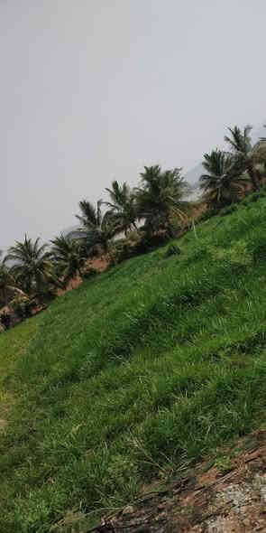 السلام عليكم 
عروض الاراضي الزراعيه الدوانم والاراضي السكنيه الطابو ملك صرف المساحات من دونم واحد الى ٢٠٠ دونم مناطق
 طابو زراعي سند ٢٥ يعني الارض تتحول بسمك الاسعار من 35مليون الى 70مليون 
🏡 دوانم طابو زراعي باسعار مميزة  ومعزولة في المناطق التالية:-
1 . الشيحة
2.السميلات
3.مناصير 10
4.عكركوف
5.جسر ماجد
6.الكويتيين
7.البصام 
8. منطقة ابراهيم ابن علي
💎💎 اشتري راحتك وراحة عائلتك👨‍👩‍👧‍👦 ضمن ارض معزولة  وهادئة وتحتوي   كافة الخدمات الاساسية من مدارس وتبليط واسواق وصناعي وتجاري  💎💎
مواصفات الاراضي
✅ الدونم يحوي كافة الخدمات الاساسية ( ماء 💧 + كهرباء ⚡️ + تبليط  ) 
✅ الدونم معزول عن الاراضي المجاورة 
 ✅  مشروع استثماري في بغداد  ) 
✅ الاراضي صالحة للبناء ووحدات سكنية كبيرة مجاري مستمر العمل بيها ميداني والمستشفى قائم العمل بيه يعني منطقه متكامله من كافة الخدمات مدارس حكوميه اهليه تبليط اماكن ترفيهيه 🙂
 للاستفسار / ‬
***********
‭***********‬
***********
#مزارع #دوانم #دار_استراحة #اراضي
