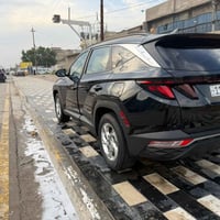 توسان • ٢٠٢٤ • وارد أمريكي