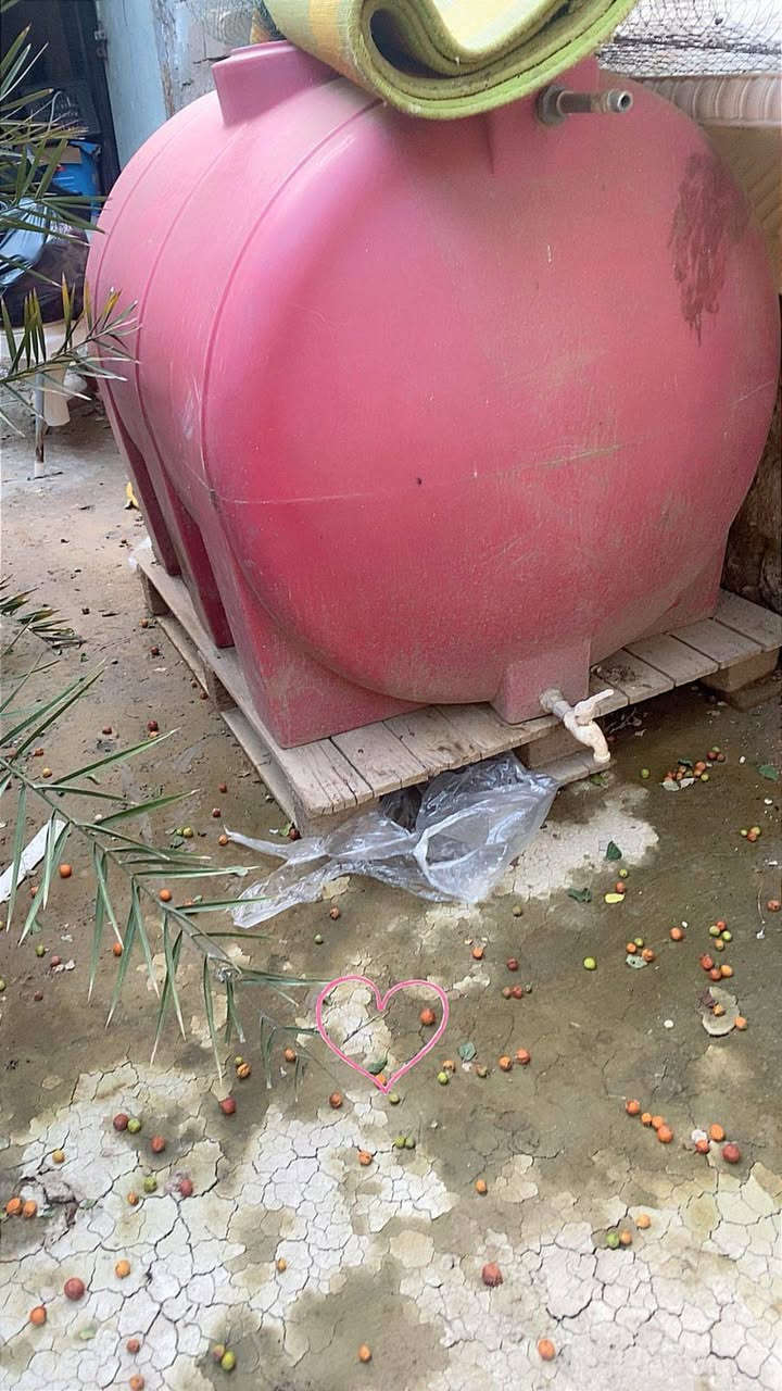 غراض للبيع


**إذا كنت صاحب هذا الإعلان وتريد حذفه لأي سبب، رجاءا أرسل رسالة إلى الدعم الفني**