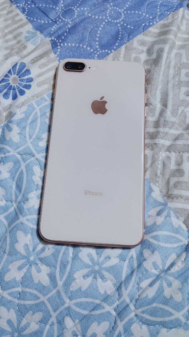 ايفـون ايت بلاس مبايل مكفول شخط مابي جهاز ممفتوح الذاكره64السعر:١٥٠وبي مجال


**إذا كنت صاحب هذا الإعلان وتريد حذفه لأي سبب، رجاءا أرسل رسالة إلى الدعم الفني**