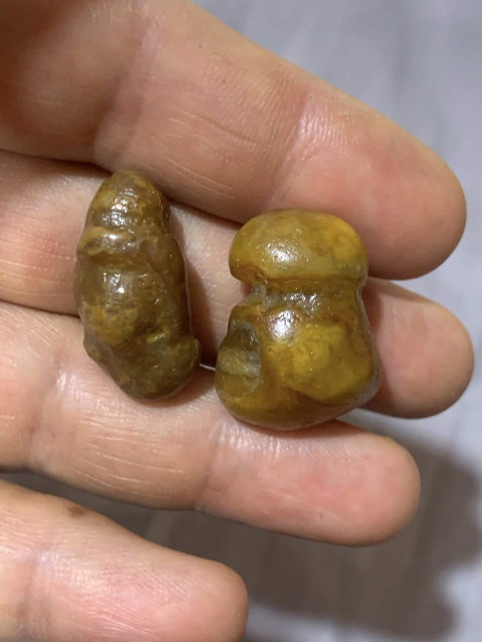 داودي للبيع


**إذا كنت صاحب هذا الإعلان وتريد حذفه لأي سبب، رجاءا أرسل رسالة إلى الدعم الفني**