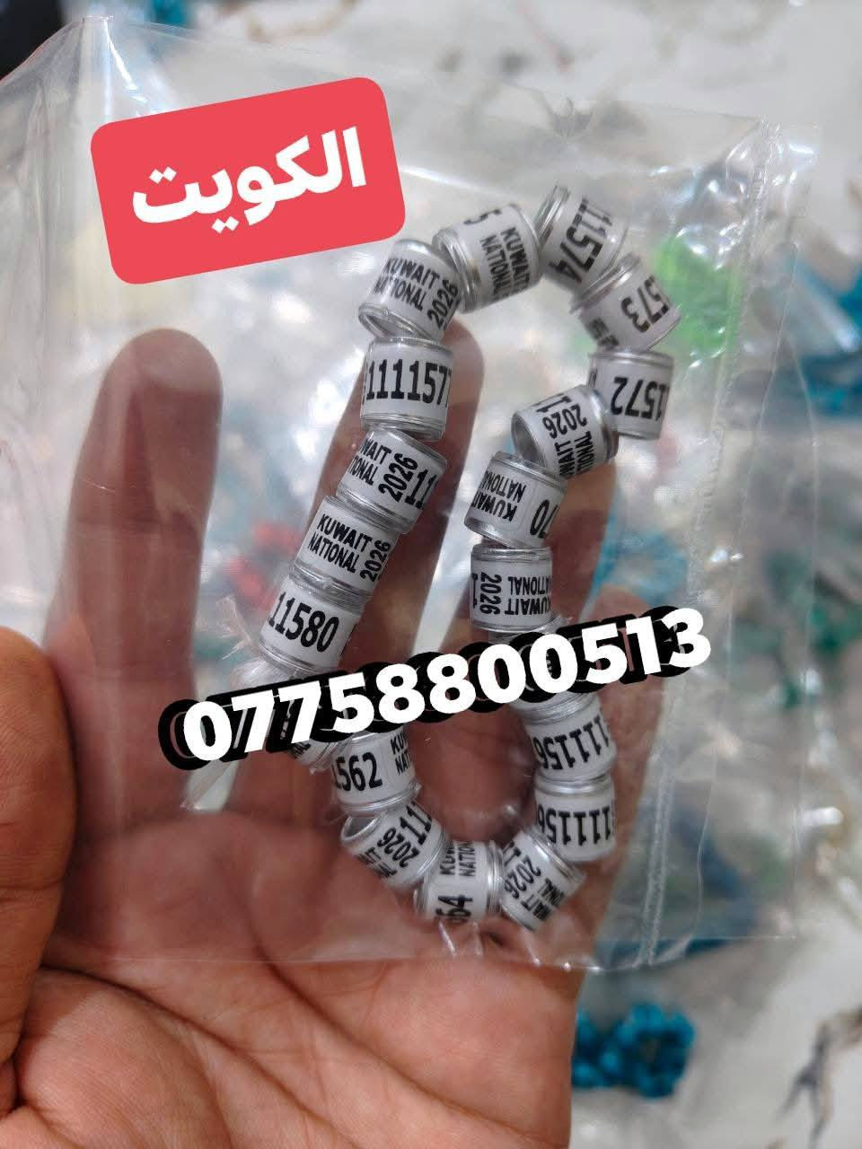 تريد تميز طيورك #اخوان #وصلت وجبه جديده 2026 2027 حجول رابطه الزواجل اجنبيه #درجه اولئ حجول ميز طيورك #السعوديه والعراق #تلبيس للكبار وصغار هم موجود  والكويت والماني بلجيكا هولندا توصيل موجود لكافه محافظات 🚗🚕 للحجز واتساب او اتصالل

***********
