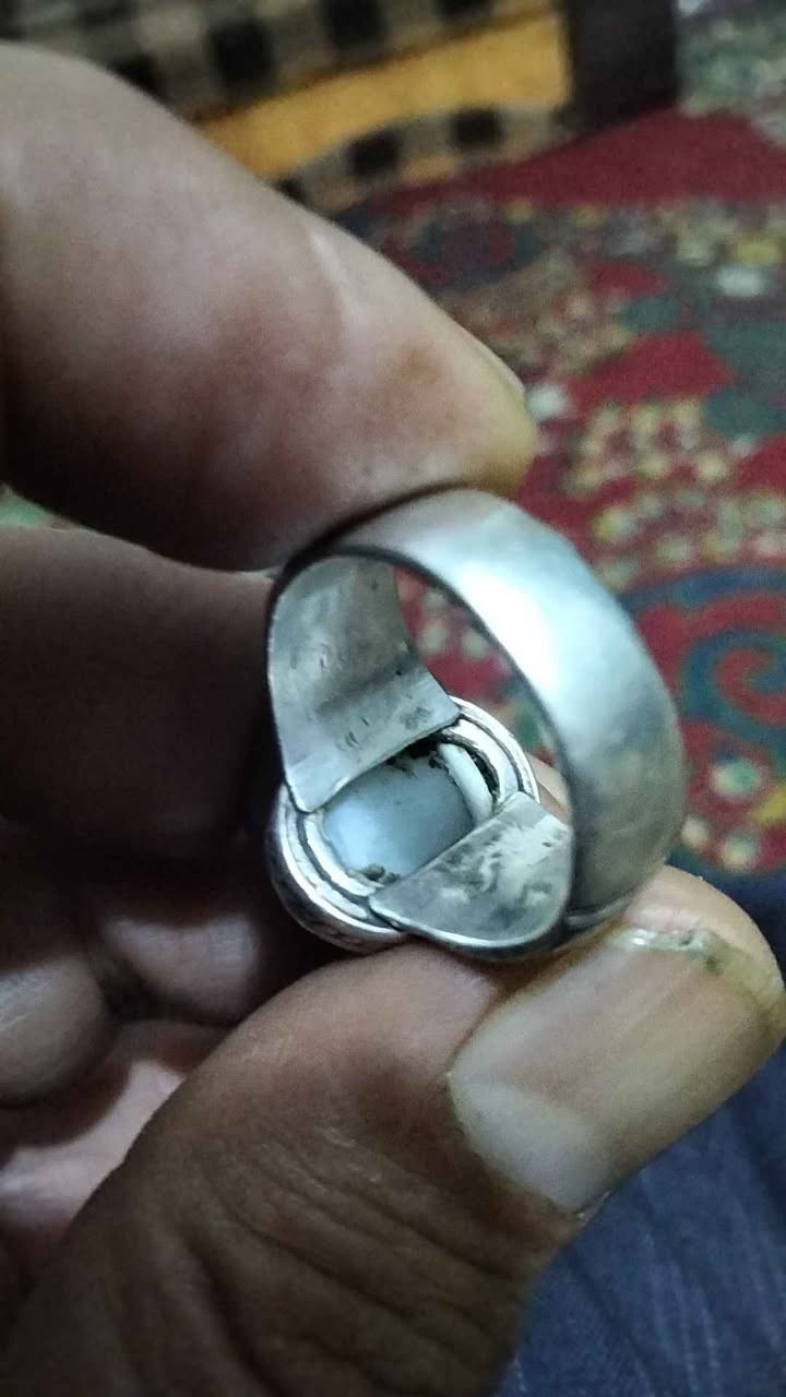 جزع معطف الشطره, ذي قار


**إذا كنت صاحب هذا الإعلان وتريد حذفه لأي سبب، رجاءا أرسل رسالة إلى الدعم الفني**