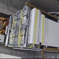 طباخ صغير • ٤ عيون • الزهور