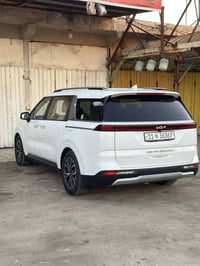 كرنفال • ٢٠٢٣ • كفالة عامة