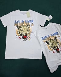 تشرات ولادي • كوالتي عالي • ٦-١٦ سنة