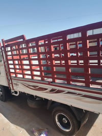 فحل مديل20 مكفول 07810639295