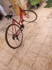 باسكل ياباني • للبيع
