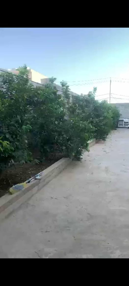 أرض للبيع في التعليم الثانيه  على شارع عشرين قريبه جدآ على جمعه النور ملك صرف طابو الزهور المكاتبه مع الشرعي بداية شارع عشرين مساحة الأرض 125واجهه 5وعمق 25 الاتصال مع صاحب الأرض رقم صاحب الأرض‏‪
‏‪0771 710 1099‬‏
