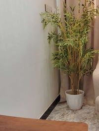 شجرة • ١م٨٠