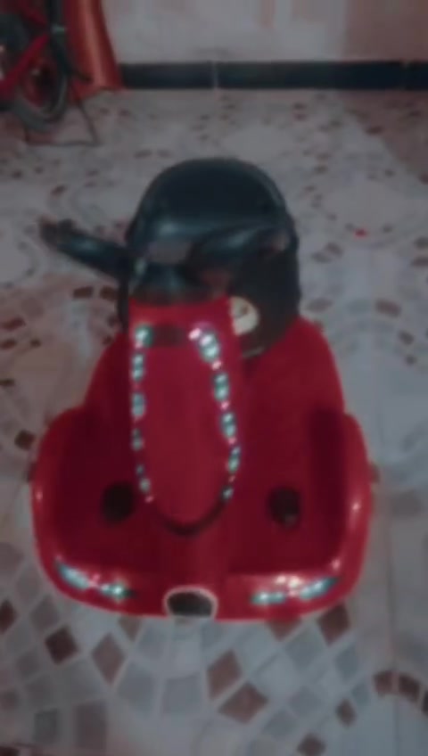 للبيع ناصريه مركز وبايسكل نوعيه ياباني توهم ماخذي سعره 110 وبي مجال


**إذا كنت صاحب هذا الإعلان وتريد حذفه لأي سبب، رجاءا أرسل رسالة إلى الدعم الفني**