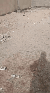 للبيع في خور الزبير قطعه تجاريه مقابل مشروع الماي السعر 700مليون تستعمل لعدة مشاريع مجع طبي وغيرها من المشاريع ***********للاستفسار على هذا الرقم
