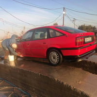 فيكترا • رقم نجف • دوانيه البدير