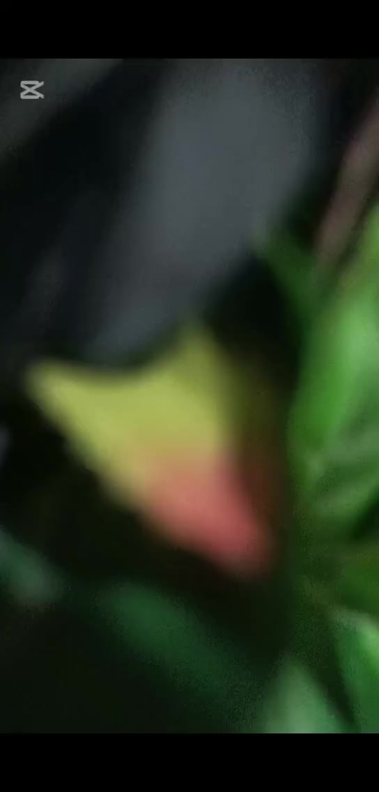 واجعلنِي ياربَّ دائمًا رَاضيَّةً مَرضيَّة .🤍💙🤍


**إذا كنت صاحب هذا الإعلان وتريد حذفه لأي سبب، رجاءا أرسل رسالة إلى الدعم الفني**