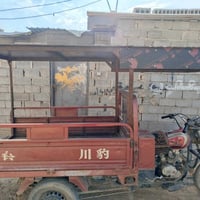 محجر