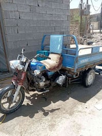 ستوته • اصولية • فحل