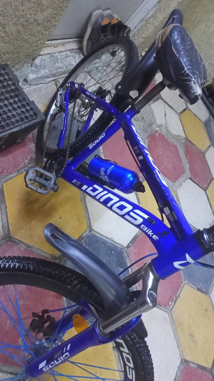 سلام عليكم باسكال للبيع العنوان حي اور البايسكل خير من الله الرقم ***********
