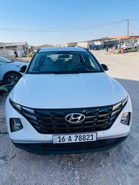 توسان ٢٠٢٤ • وارد خليجي • مكفوله عام