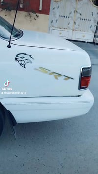 بؤنتيشه • ١٩٩٤ • ديالى