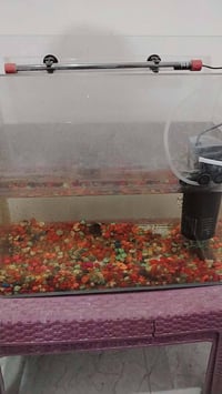 حوض اسماك ستعمال مرى واحدة سبب البيع ماتن سمجات سعر 30  07705825693