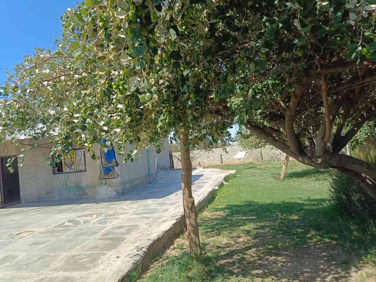 بيت للبيع مساحة البناء 300 مع حديقة جانبية للبيت
مشمول بالتثبيت بالبلدية يتكون البيت من غرفتين 5×4
و مطبخ 4×4 و صاله 4×4 و هول 7×4 و مخزن عدد 2 داخلي و خارجي و صحيات داخلية و خارجية 
المكان قضاء الحي ناحية البشائر قرب إعدادية الحي المهنية 
الاستفسار أكثر الاتصال ع الرقم ***********
