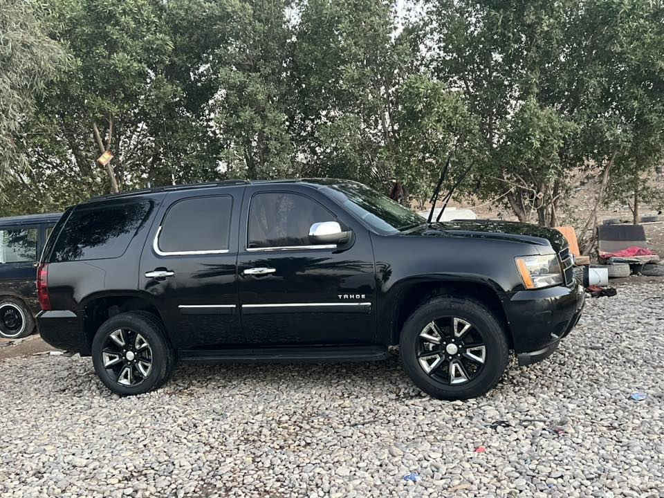 لبيع تاهو مكفولات كير ومكينه تخم تاير جديد ويل 20 نيكل حداديه خلفيه ماميه حديده مكفوله من كص وفتح ونتربول  سياره جديده بمعنه لكلمه بكان سياره بلكوت  ستفسار كثر علا رقم ***********

سعر75بيها مجال كلش قليل                   ملاحضه سياره كلك                                           ***********
