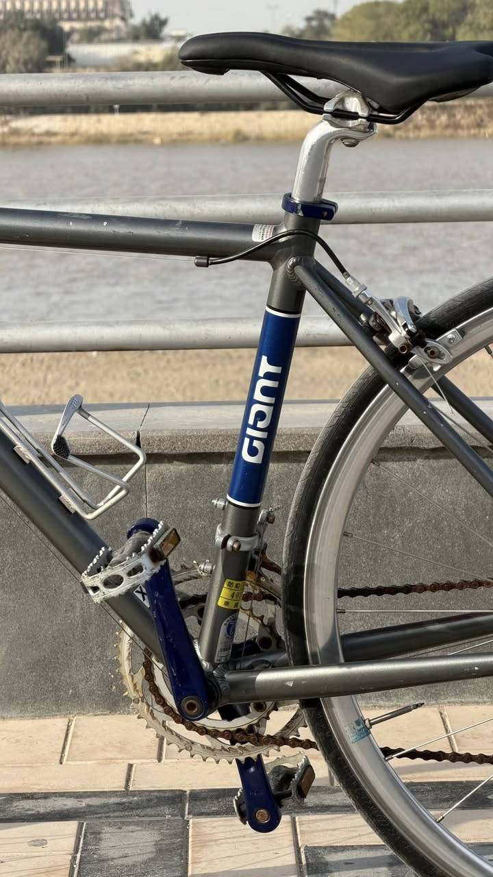 كلاسيك رياضي خفيف وجاهز للطرق الطويلة
دراجة جاينت  GIANT Tradist  موديل 2011 بحالة ممتازة وأداء رائع 

 ألمنيوم خفيف وقوي

مقاس XS  حجم 28– 470mm

مناسبة للطرق الطويلة والمشاوير البعيدة

نظام  كير في لشة  خلفي 7 سرعات وأمامي 2

قيادة سلسة وثابتة  ومريحة 

السكانها الأصلي العدل موجود 

 عداد سرعه  موجود ويا 

تصميم كلاسيك أنيق بلون رمادي مع لمسات زرقاء

السعر 275 الف 

رقمي واتساب ***********

مكاني بغداد ساحة الوثبة
