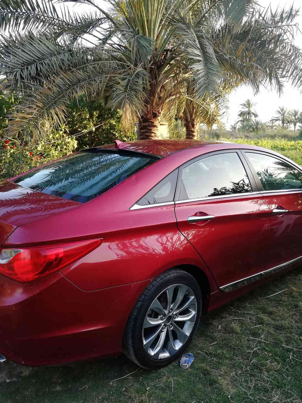 السلام عليكم
سوناتا موديل ١١ فول مواصفات رقم بغداد انكليزي لون احمر ماروني السعر ١٠٠ وبيه مجال للاستفسار الاتصال على الرقم ***********
