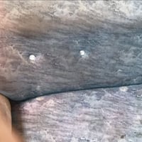 تخم قنفات • قنفات • قنفات للبيع • صالون • مفروشات • أثاث مستعمل • تخم ...
