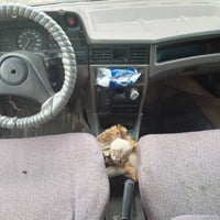 كاديت • محرك ١٤٠٠ • كهربائيات شغالة