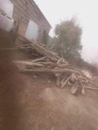 خشب حطب لبيع07515765304