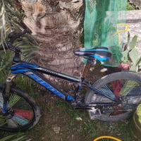 باسكل • مقاس 26 • ديوانية جلبيه